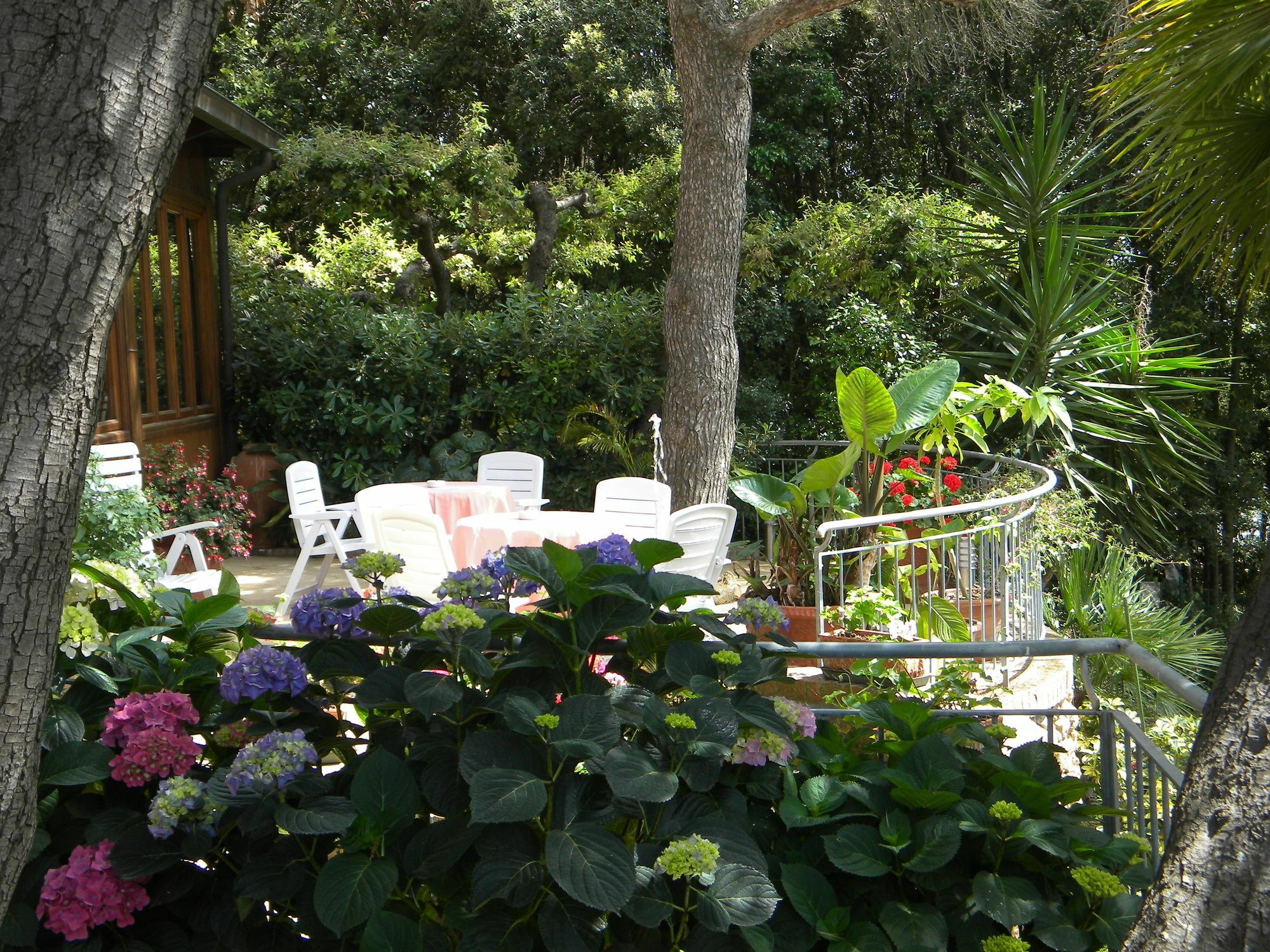 Hotel La Rosa Del Tirreno 利沃诺 外观 照片