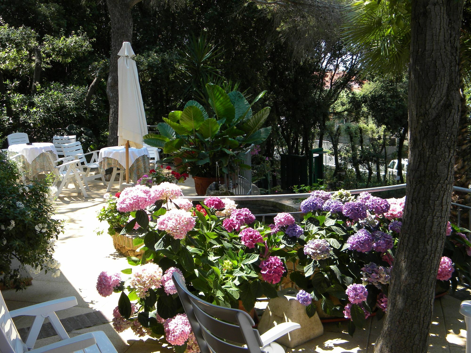 Hotel La Rosa Del Tirreno 利沃诺 外观 照片